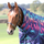 Shires Highlander Original Lite Neck Cover #colour_navy-forest