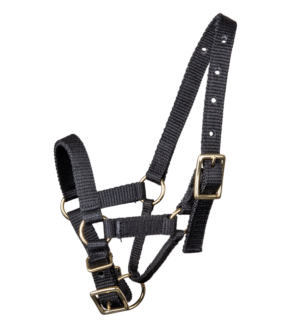 Waldhausen Alpaca Halter