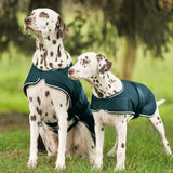 Waldhausen Dog Raincoat #colour_fir-green