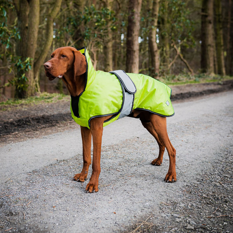 Danish Design Ultimate 2-In-1 Dog Coat #colour_yellow