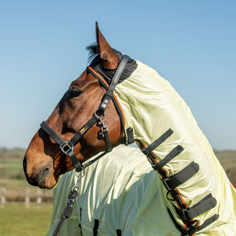 Equilibrium Field Relief Fly Rug #colour_yellow-black-orange