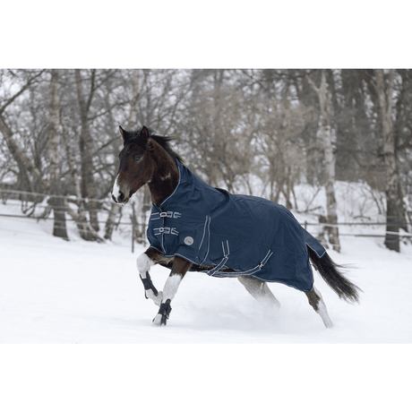 HKM Starter 600D 300g Filling Highneck Rug #colour_deep-blue