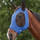 #colour_royal-blue-black